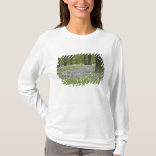 Camiseta Campanillas y Robles en Primavera, Little Hagley