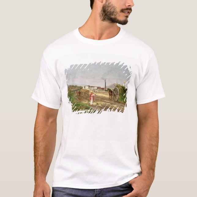 Camiseta Campesinos que recogen la caña de azúcar (Anverso)