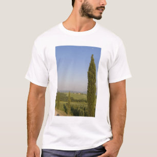 Camiseta Campiña cerca de Pienza. Val d'Orcia, Siena