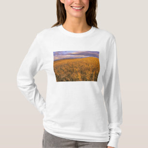 Camiseta Campo de cebada madura a lo largo de las Montañas