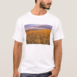 Camiseta Campo de cebada madura a lo largo de las rocosas