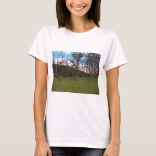 Camiseta Campo de ciervos y un SunSet rosado