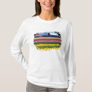 Camiseta Campo de exhibición de tulipanes