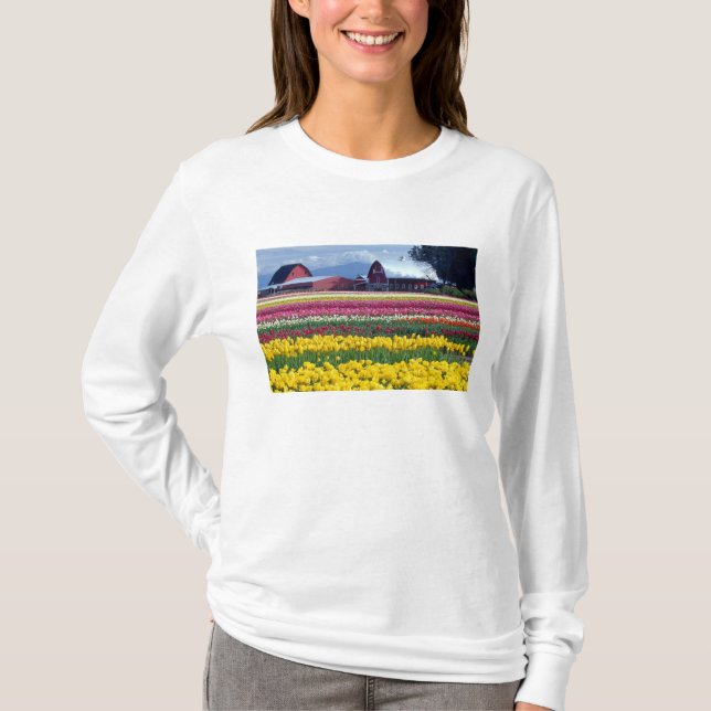 Camiseta Campo de exhibición de tulipanes (Anverso)