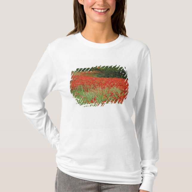 Camiseta Campo de flores de amapola híbrida plantadas a lo  (Anverso)