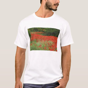 Camiseta Campo de flores de amapola híbrida plantadas a lo