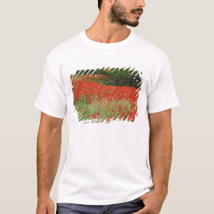 Camiseta Campo de flores de amapola híbrida plantadas a lo 