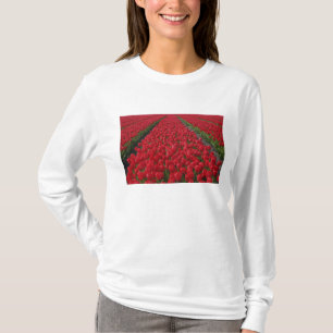 Camiseta Campo de flores de tulipanes, Países Bajos, Holand