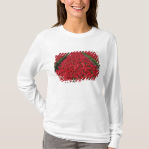 Camiseta Campo de flores de tulipanes, Países Bajos, Holand