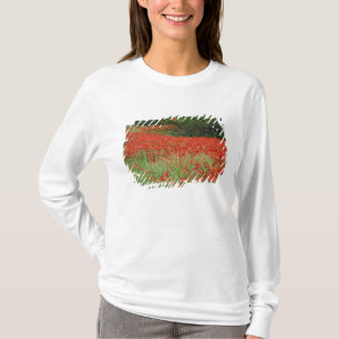 Camiseta Campo de flores híbridas de amapola plantadas a l