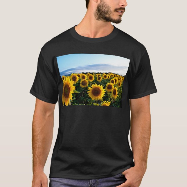 Camiseta Campo de girasol (Anverso)