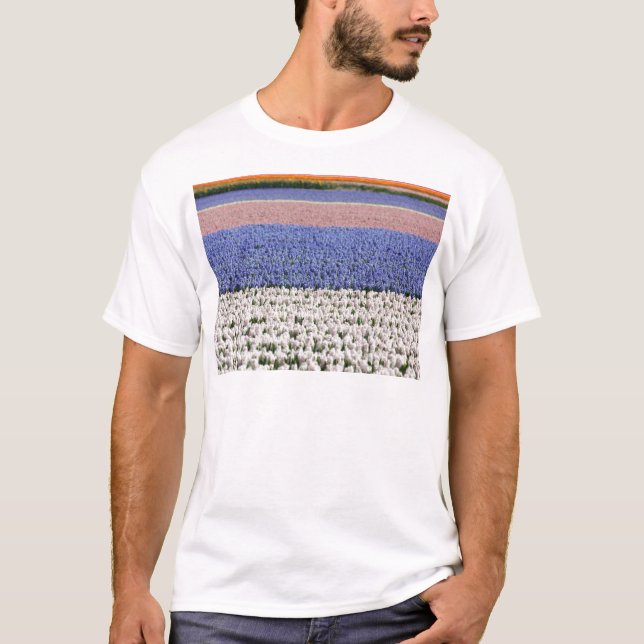 Camiseta Campo de Jacintos (Anverso)