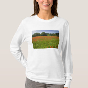 Camiseta Campo de la amapola, Chiusi, Italia