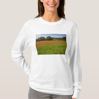 Camiseta Campo de la amapola, Chiusi, Italia