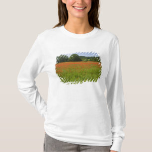 Camiseta Campo de la amapola, Chiusi, Italia