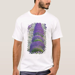 Camiseta Campo de lavanda, Provenza, Francia