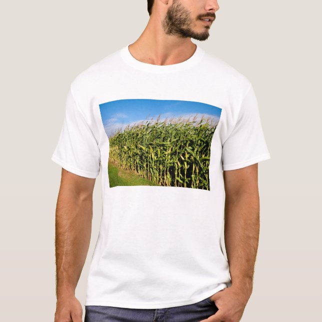 Camiseta campo de maíz y cielo (Anverso)