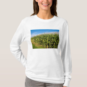 Camiseta campo de maíz y cielo