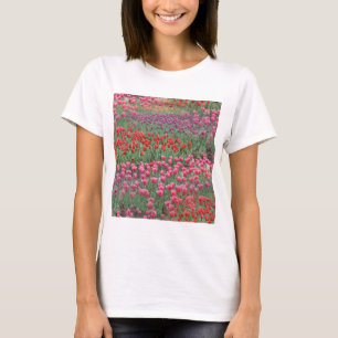 Camiseta Campo De Tulipanes