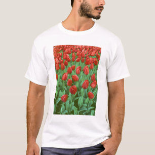 Camiseta Campo de tulipanes florece en primavera.