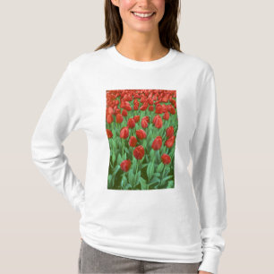 Camiseta Campo de tulipanes florece en primavera.