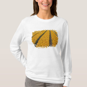 Camiseta Campo de tulipanes, Países Bajos
