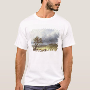 Camiseta Campo debajo de un cielo tempestuoso