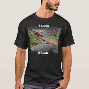 Camiseta Campo galés