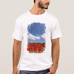 Camiseta Campo por completo de flores rojas