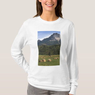 Camiseta Campos con heno embolsado, Alberta, Canadá