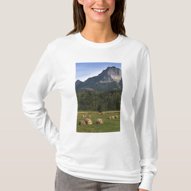 Camiseta Campos con heno embolsado, Alberta, Canadá (Anverso)