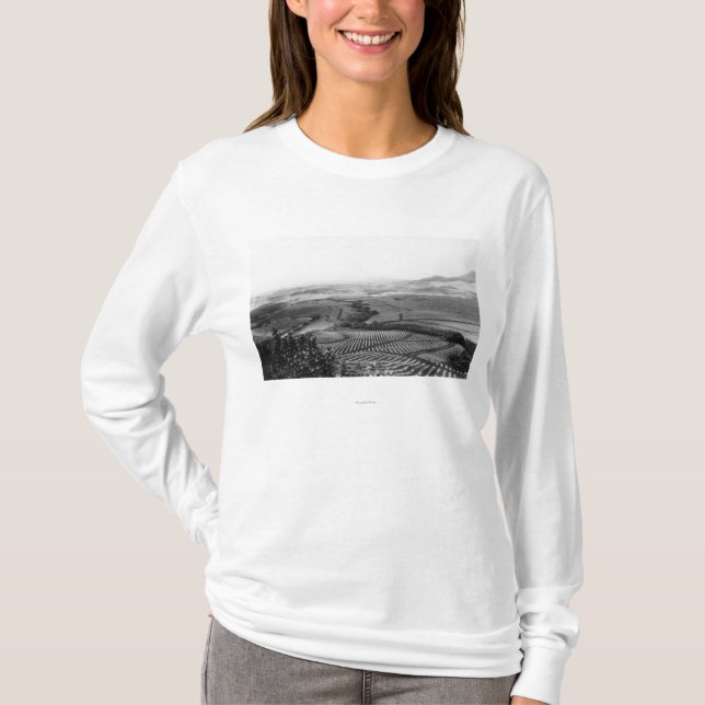 Camiseta Campos de la piña en Hawaii PhotographHawaii (Anverso)