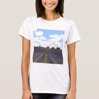 Camiseta Campos de lavanda púrpura cerca de Sault