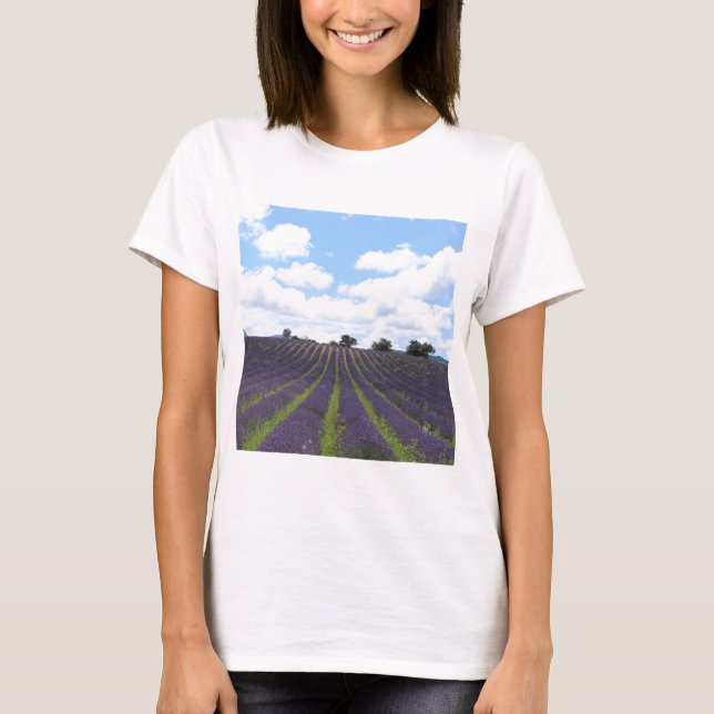 Camiseta Campos de lavanda púrpura cerca de Sault (Anverso)