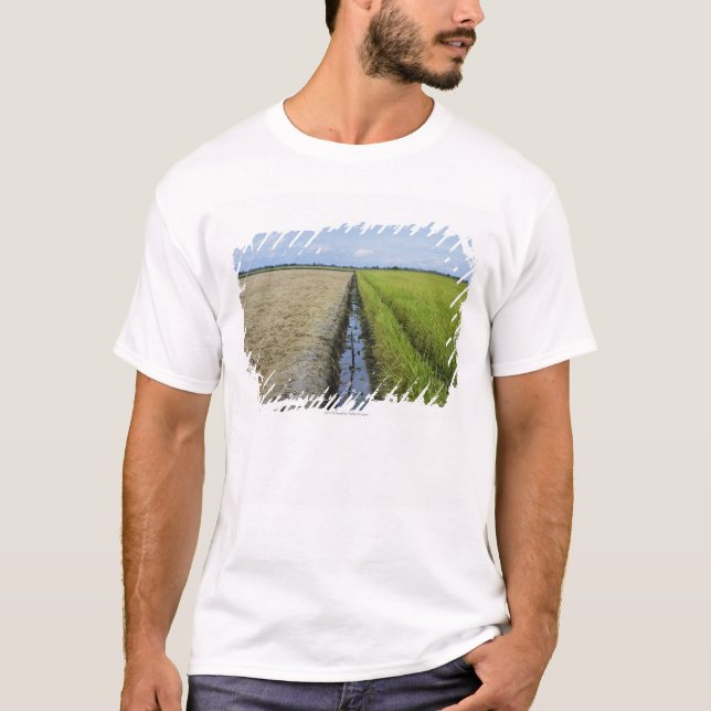Camiseta campos medios del arroz del canal de irrigación (Anverso)