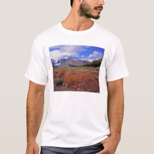 Camiseta Canadá, Alberta, Banff NP. Arándanos en flor