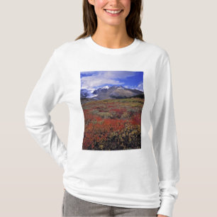 Camiseta Canadá, Alberta, Banff NP. Los arándanos proporcio