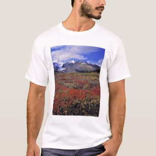 Camiseta Canadá, Alberta, Banff NP. Los arándanos proporcio