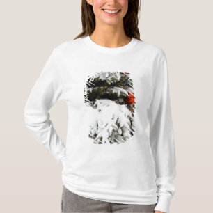 Camiseta Canadá, Alberta, Jasper, Jasper NP. Fairmont 2