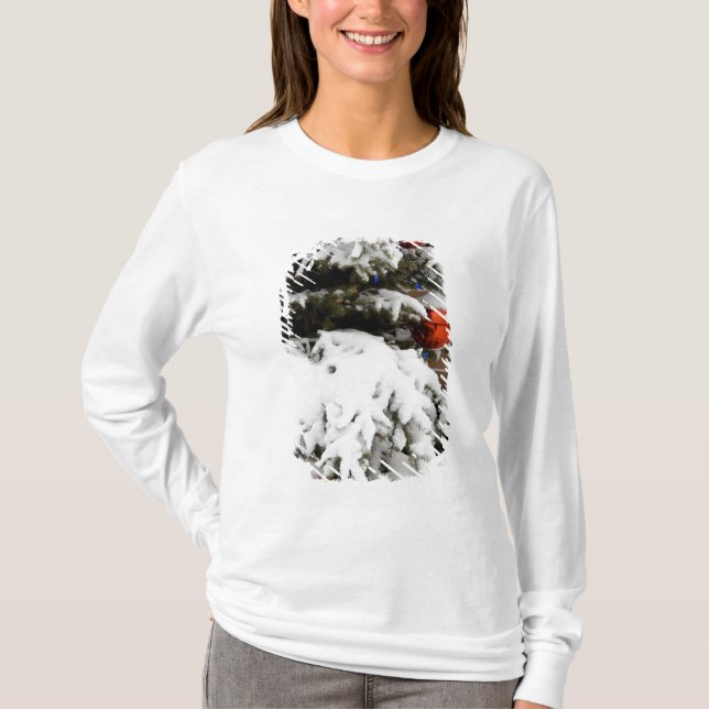 Camiseta Canadá, Alberta, Jasper, Jasper NP. Fairmont 2 (Anverso)