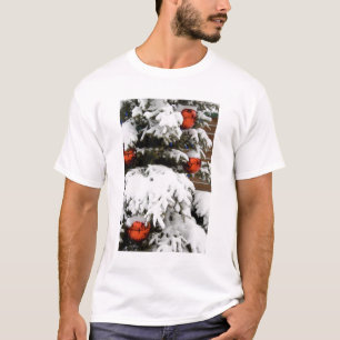 Camiseta Canadá, Alberta, Jasper, Jasper NP. Fairmont 2