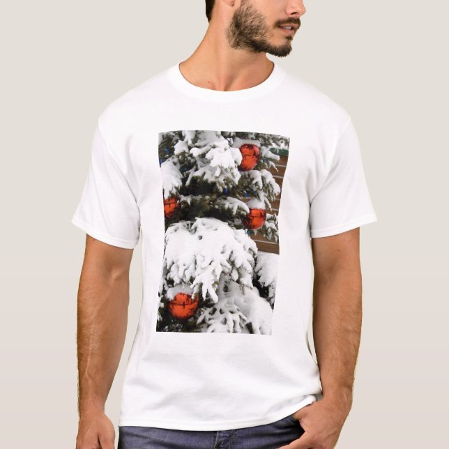 Camiseta Canadá, Alberta, Jasper, Jasper NP. Fairmont 2 (Anverso)