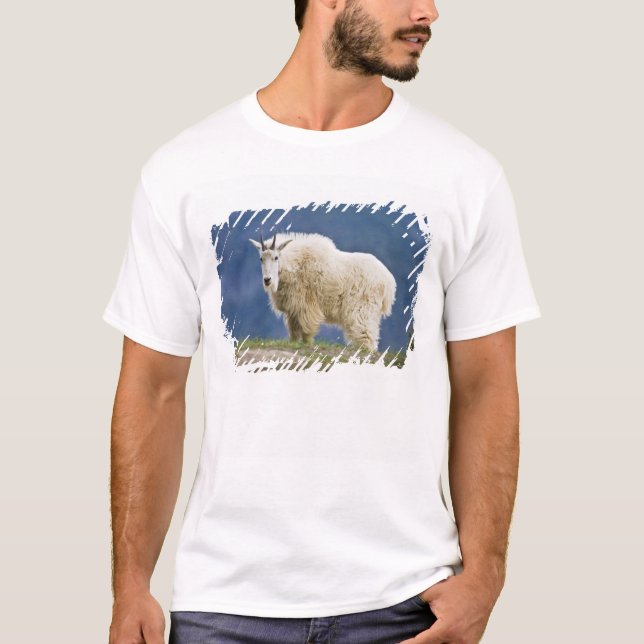 Camiseta Canadá, Alberta, Parque Nacional Jasper, (Anverso)