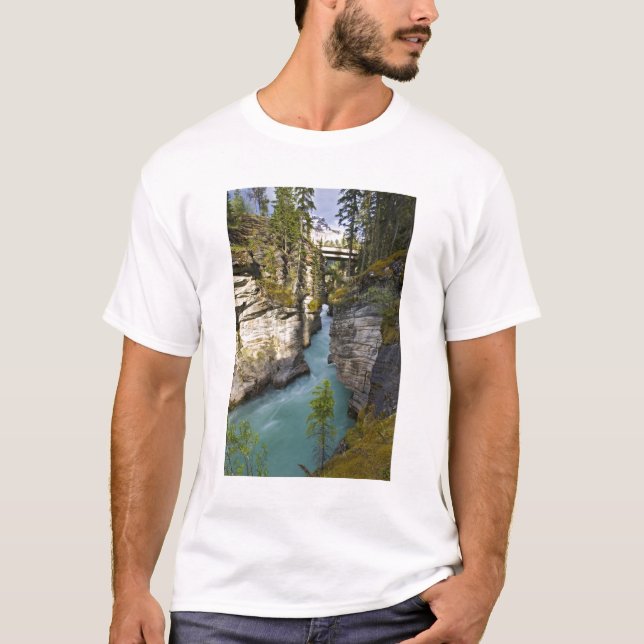 Camiseta Canadá, Alberta, Parque Nacional Jasper, Athabasca (Anverso)