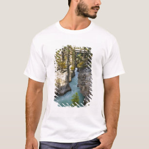Camiseta Canadá, Alberta, Parque Nacional Jasper, Athabasca