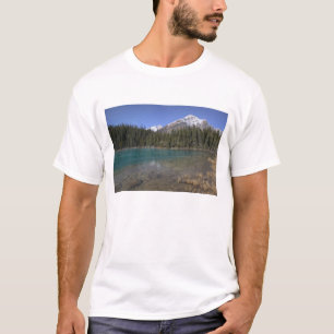 Camiseta Canadá, Alberta, Parque Nacional Jasper: JASPER,