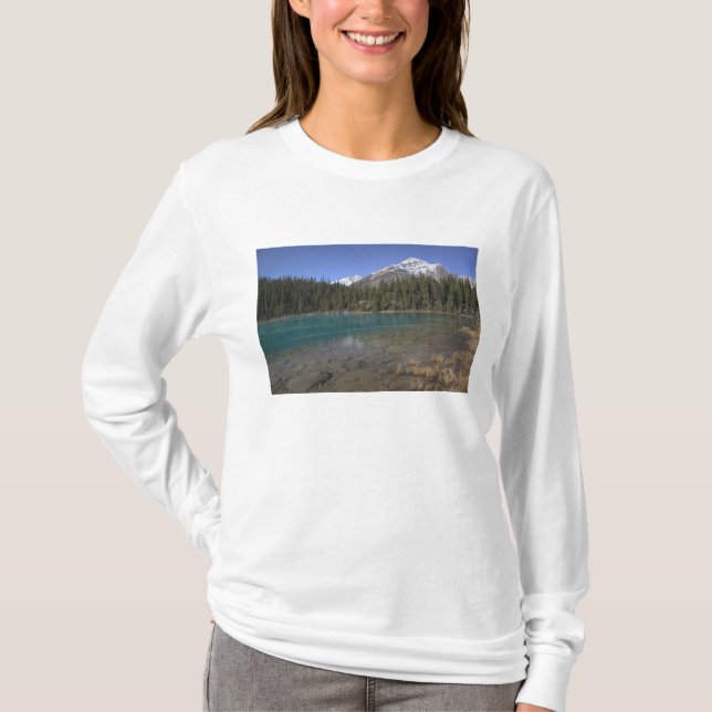 Camiseta Canadá, Alberta, Parque Nacional Jasper: JASPER, (Anverso)