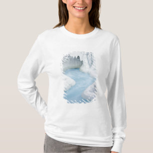 Camiseta Canadá, Alberta, Parque Nacional Jasper. La