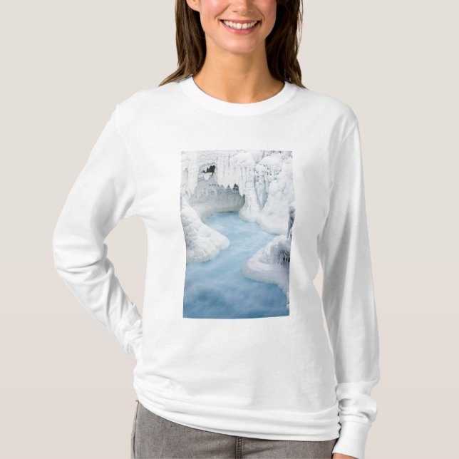 Camiseta Canadá, Alberta, Parque Nacional Jasper. La (Anverso)