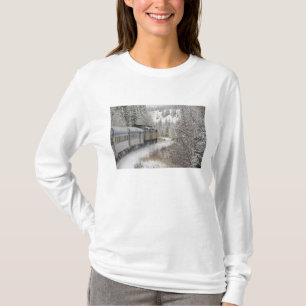 Camiseta Canadá, Alberta. Tren de nieve de VIA Rail entre